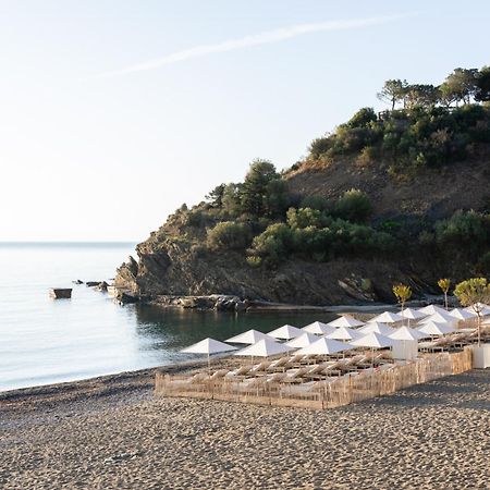 Les Elmes - Hotel, Spa & Plage Privee Banyuls-sur-Mer Exteriér fotografie
